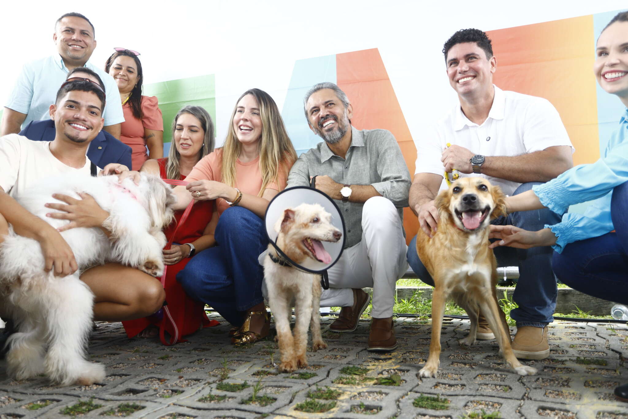 Atendimento do Ceará Pet Móvel é ampliado para realização de até 200 castrações por dia